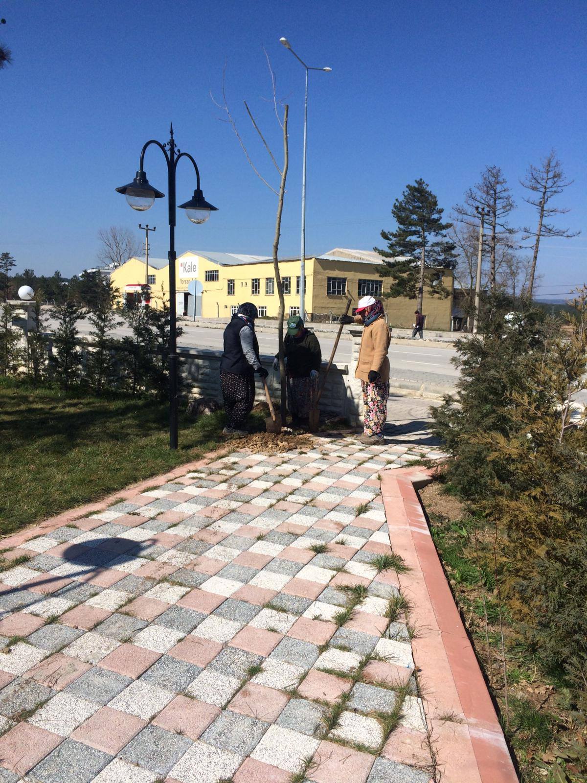 DAHA YEŞİL BİR YENİCE İÇİN