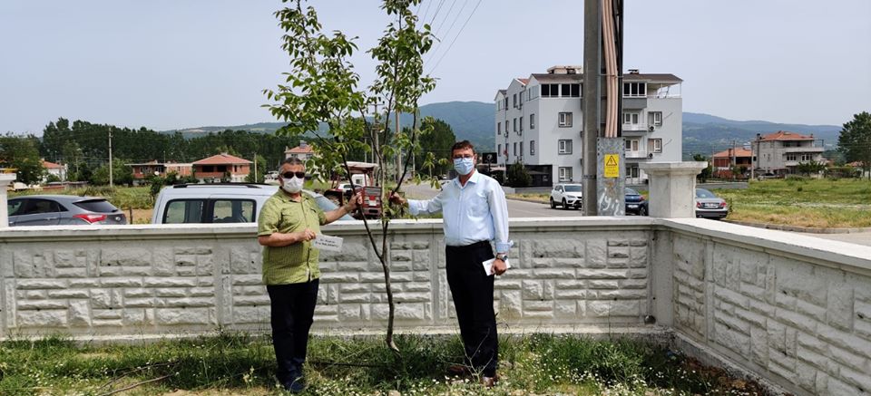 YENİCE BELEDİYESİNDEN BİR İLK DAHA  SAĞLIK ÇALIŞANLARI HATIRA FİDANLIĞI