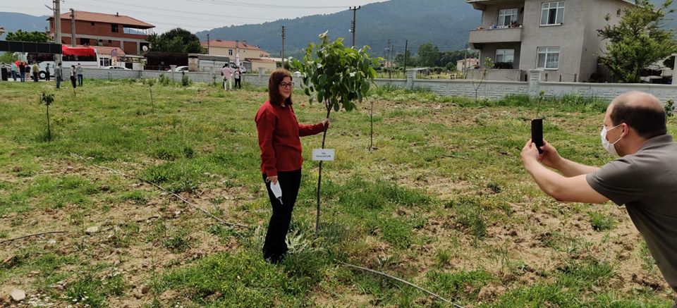 YENİCE BELEDİYESİNDEN BİR İLK DAHA  SAĞLIK ÇALIŞANLARI HATIRA FİDANLIĞI