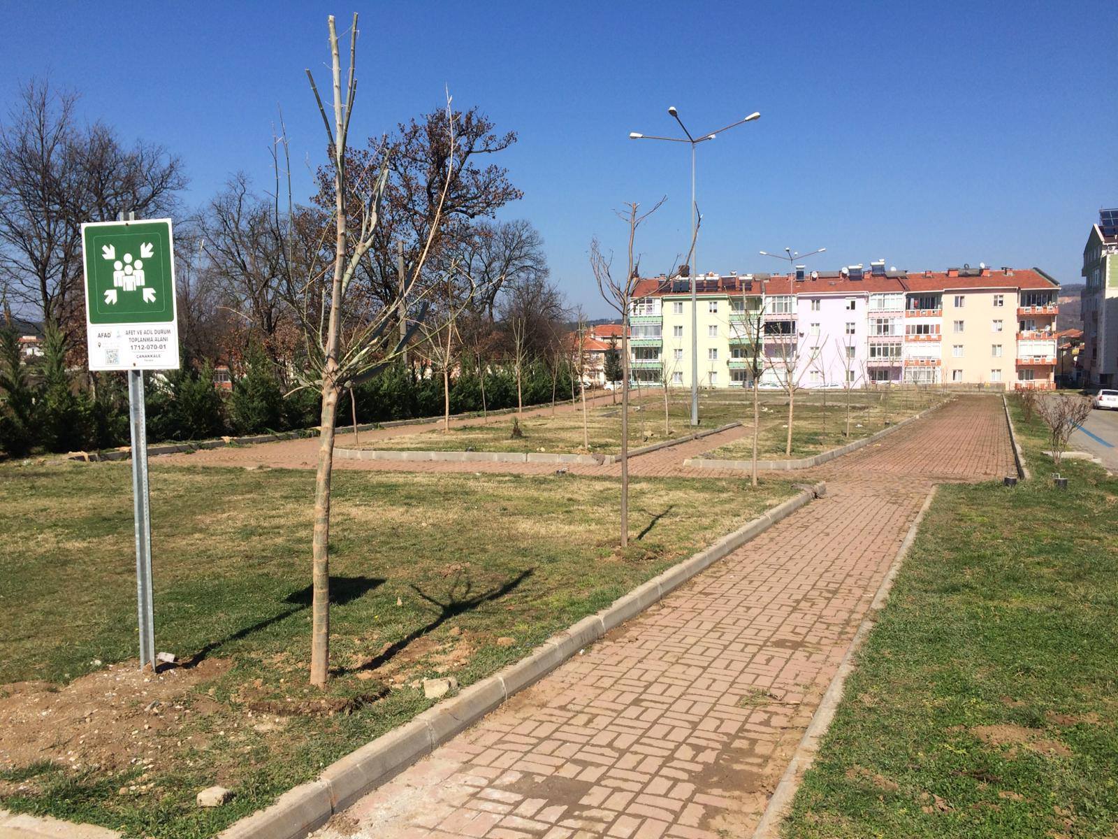 DAHA YEŞİL BİR YENİCE İÇİN