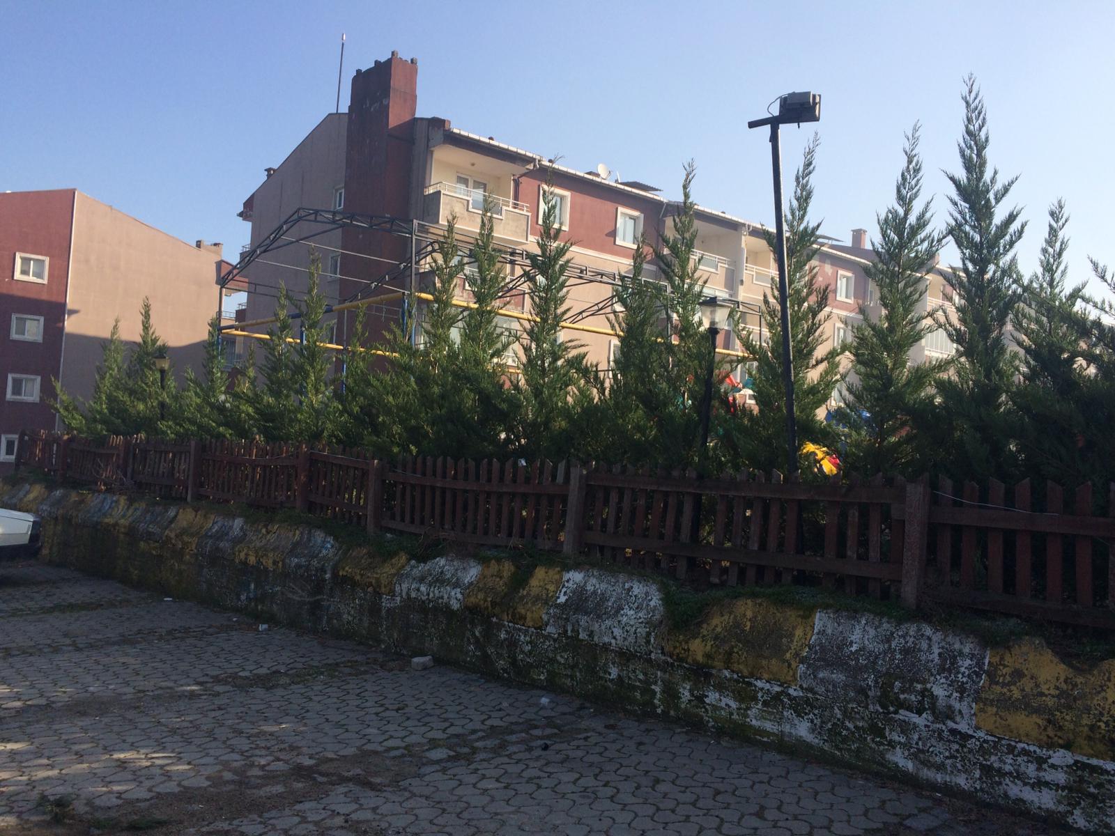 DAHA YEŞİL BİR YENİCE İÇİN