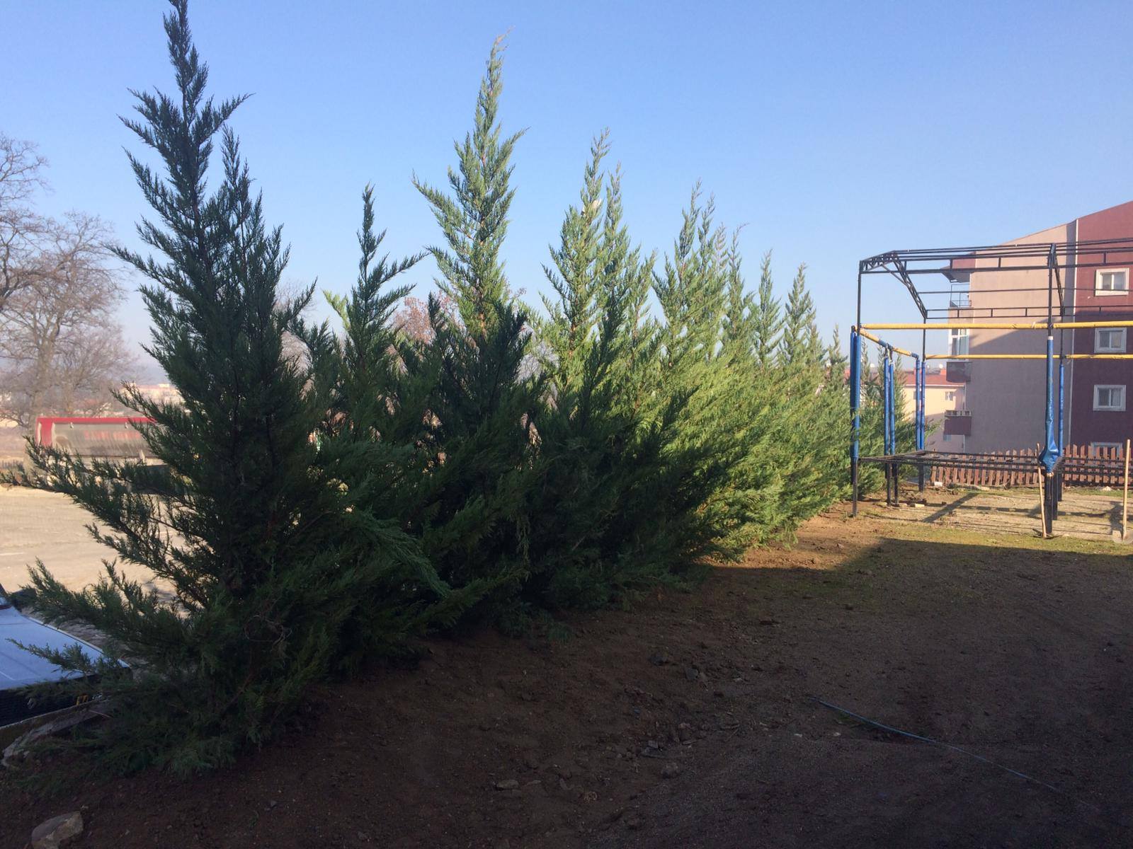 DAHA YEŞİL BİR YENİCE İÇİN